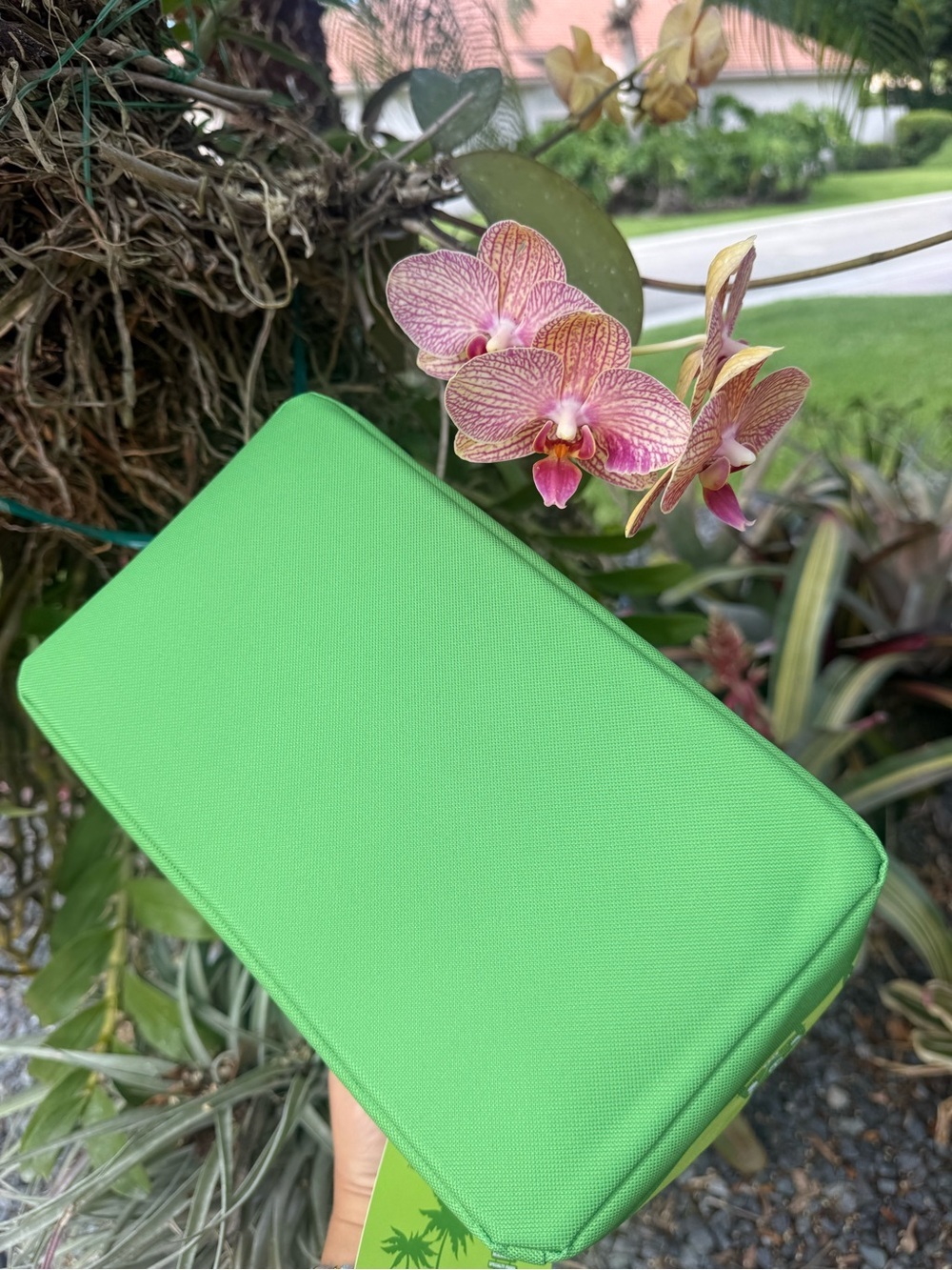 NWT | Trader Joe's Lime Green Mini Insulated Bag - Picture 5 of 8
